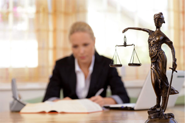 Attorneys and Law Firms